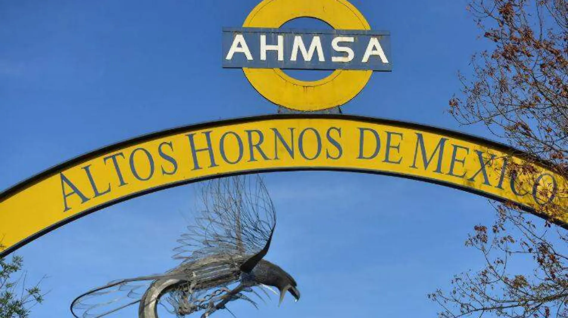 AHMSA ESPECIAL